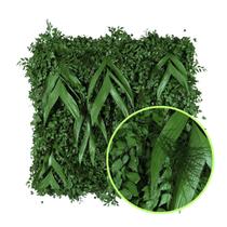 Jardim Vertical Preservado Variada - Placa 50x50