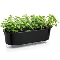 Jardineira Vaso Raiz Auto Irrigável 40Cm Preto Temperos