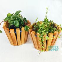 Jardineira Vertical mini c/ 2 Cachepôs redondo