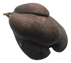 Jatobá Vagem 1kg (Erva Desidratada)