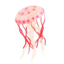 Jellyfish Animal Toys Figurines Home Decorar Pré-escolar Educacional Jellyfish Animal Toys Figurines Home Decorar Pré-escolar Educacional