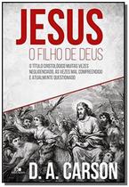 Jesus, o filho de deus: o titulo cristologico muit