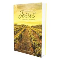 Jesus, o Intérprete de Deus - Vol. 3 - FUNDACAO LAR HARMONIA