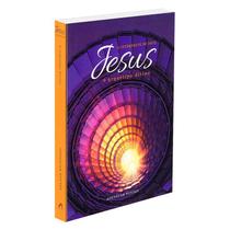 Jesus, o Intérprete de Deus - Vol. 4 - FUNDACAO LAR HARMONIA