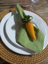 Jg 08 anéis de guardanapo cenoura "páscoa"