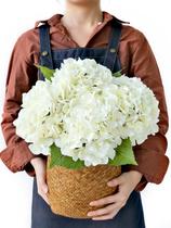 JINWOE, 4 peças de flores artificiais de hortênsia branca/creme, flores de hortênsia sintética de seda de látex realista de 21 polegadas com toque real, buquê de hortênsias artificiais para peças centrais de casamento, mesas, festas e casa