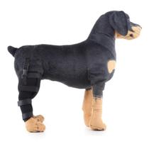 Joelheira Cães Gato Cachorro Ajuda Na Luxação da Pata Tala PPP/PP/P/M/G