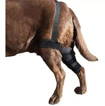 Joelheira Tala De Metal Articulada Luxação De Patela Cão