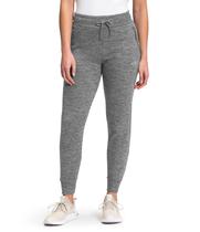 Joggers The North Face Canyonlands Fleece Plus feminino cinza Joggers The North Face Canyonlands Fleece Plus feminino cinza