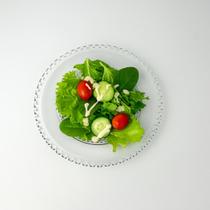 Jogo 10 Pratos Rasos de Refeição Borda Cristal Diamante 27cm