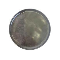 Jogo 6 Pratos de Sobremesa 21cm Cerâmica Mesa Posta Preto Jogo 6 Pratos de Sobremesa 21cm Cerâmica Mesa Posta Preto