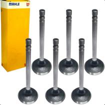 Jogo 6 Válvulas de Escape Mahle Sob Medida +15 Haste Grossa Opala Caravan A10 Veraneio 250 4.1
