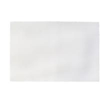 Jogo americano de plastico 30x45cm