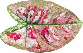 Jogo americano folha 3d