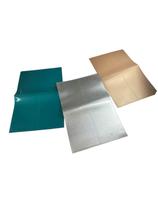 Jogo americano pvc 30x45cm resistente e fácil de limpar antiderrapante