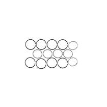 Jogo aneis compre.sc el 1300/1600 std antigo bel ar **ford c