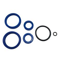 Jogo Anéis de Vedação P/ Bomba Hidráulica Transpallet 3 ton