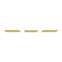 Jogo Aplique Pega Mão Grade Para Daf XF Dourado Jogo Aplique Pega Mão Grade Para Daf XF Dourado