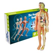 Jogo Brinquedo Ciência Do Corpo Humano Nettoy