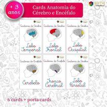 Jogo Brinquedo Infantil Cards Anatomia Da Cabeça (6Un)