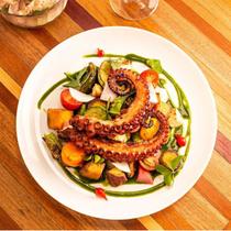 Jogo de 24 Pratos Redondo Raso Opaline Nadir Refeição Menu 27CM Jogo de 24 Pratos Redondo Raso Opaline Nadir Refeição Menu 27CM