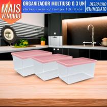Jogo De 3 Potes Organizadores Com Tampa Multiuso Porta Mantimentos Cozinha 2,9L UZ