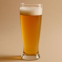 Jogo de 6 Copos para Cerveja Brasília Crisa 350ml