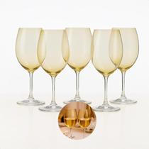 Jogo de 6 Taças para Água e Vinho Gastro 450ml