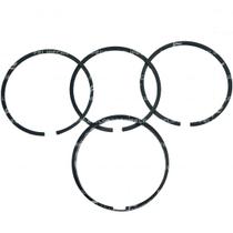 Jogo de Anel Forth DE240 Changchay L22 24Hp