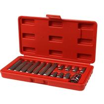 Jogo de Bits Torx Sextavado 10mm com 15 Peças Worker