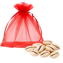 Jogo de Búzios 16 Peças Com Manual Básico