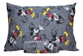 Jogo de cama Solteiro 2 Peças Doce Vida Disney Portallar