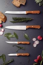 Jogo de Facas Tramontina Dynamic com Lâminas em Aço Inox e Cabos de Madeira Natural 4 Peças Jogo de Facas Tramontina Dynamic com Lâminas em Aço Inox e Cabos de Madeira Natural 4 Peças