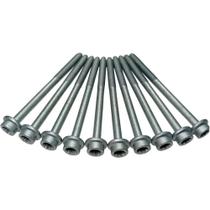 Jogo de parafusos Volkswagen Voyage 2008 a 2015 BASTOS Jogo de parafusos Volkswagen Voyage 2008 a 2015 BASTOS