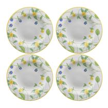 Jogo de Prato Fundo 25cm Kit 4 Pçs Sopa Silvestre Alleanza Jogo de Prato Fundo 25cm Kit 4 Pçs Sopa Silvestre Alleanza