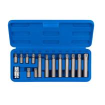 Jogo De Soquete Torx Bits C/ 15 Peças - Lisfer