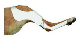 Jogo De Tala Utilivet Posterior