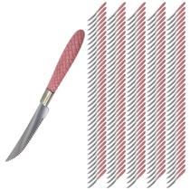 Jogo de Talheres Blumenau com 180 Faca Inox Rosa Decorado