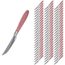 Jogo de Talheres Blumenau com 72 Faca Inox Rosa Decorado