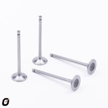 Jogo de Válvula de admissão 207 2008 a 2010 Takao VAD PG 16