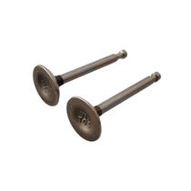 Jogo De Válvulas P/ Motores B4T 5.5/ 6.5hp - CÓD: 19200130 Jogo De Válvulas P/ Motores B4T 5.5/ 6.5hp - CÓD: 19200130