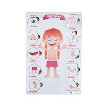 Jogo Educativo: Explore Anatomia Com Diversão Interativa Jogo Educativo: Explore Anatomia Com Diversão Interativa