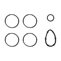 Jogo junta coletor de admissão Captur Duster 2.0 16v flex