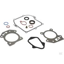 Jogo Junta Motor Briggs Stratton Original