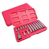 Jogo Kit Bits Torx 15 Peças T20 a T55 Aço Cromo Vanádio Com Adaptador 1/2" e Maleta - Feron Ferramentas
