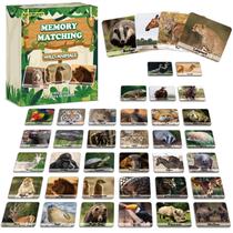 Jogo Memory Matching Game gisgfim Wild Animals com 100 cartas