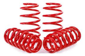 Jogo Molas Esportivas Omega 6cc