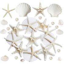 JQAQJU 16 unidades de conchas de estrelas do mar e vieiras de 7 a 10 cm com pérolas