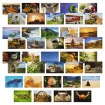 Juego de 40 Postales BEST PAPER GREETINGS 4x6 de 250 g/m² con Animales Salvajes