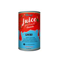 Juice Protein Gourmet Morango 450g Vitaminar
